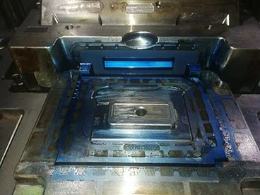 mold mold